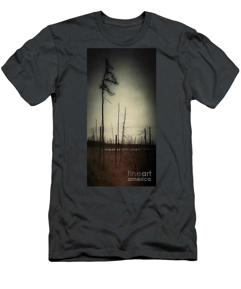 Trees T-Shirt featuring the photograph From the Ashes by RicharD Murphy