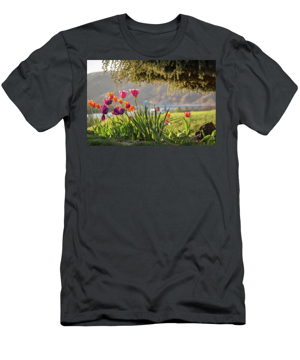 Pretty T-Shirt featuring the photograph From the Driveway by Brad Stinson