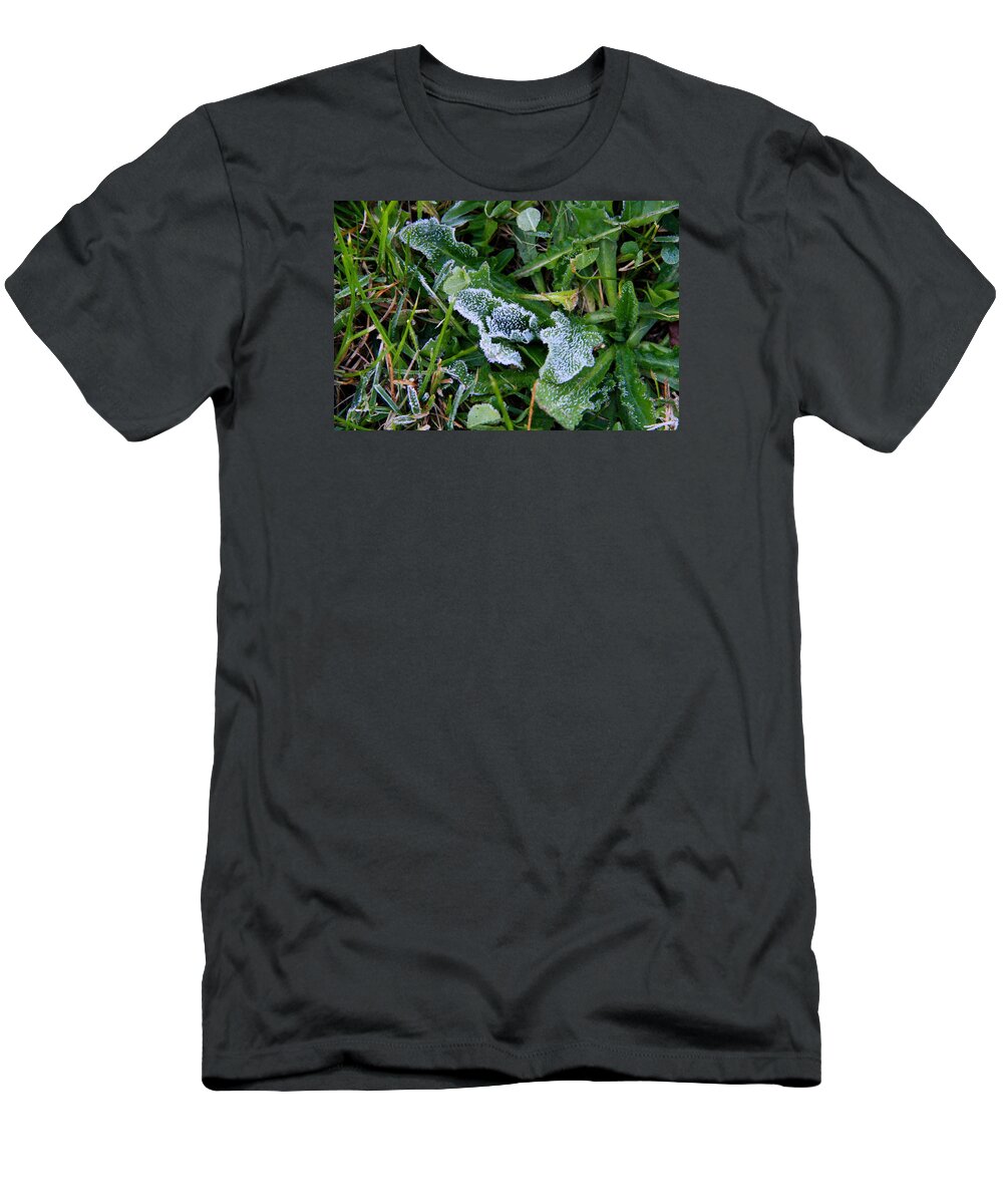 Frost T-Shirt featuring the photograph Frost by Kathryn Meyer
