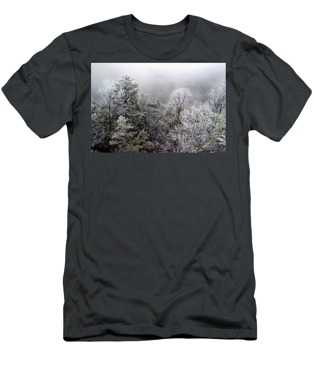 Tree Tops T-Shirt featuring the photograph Frosted Tops by Mike Eingle