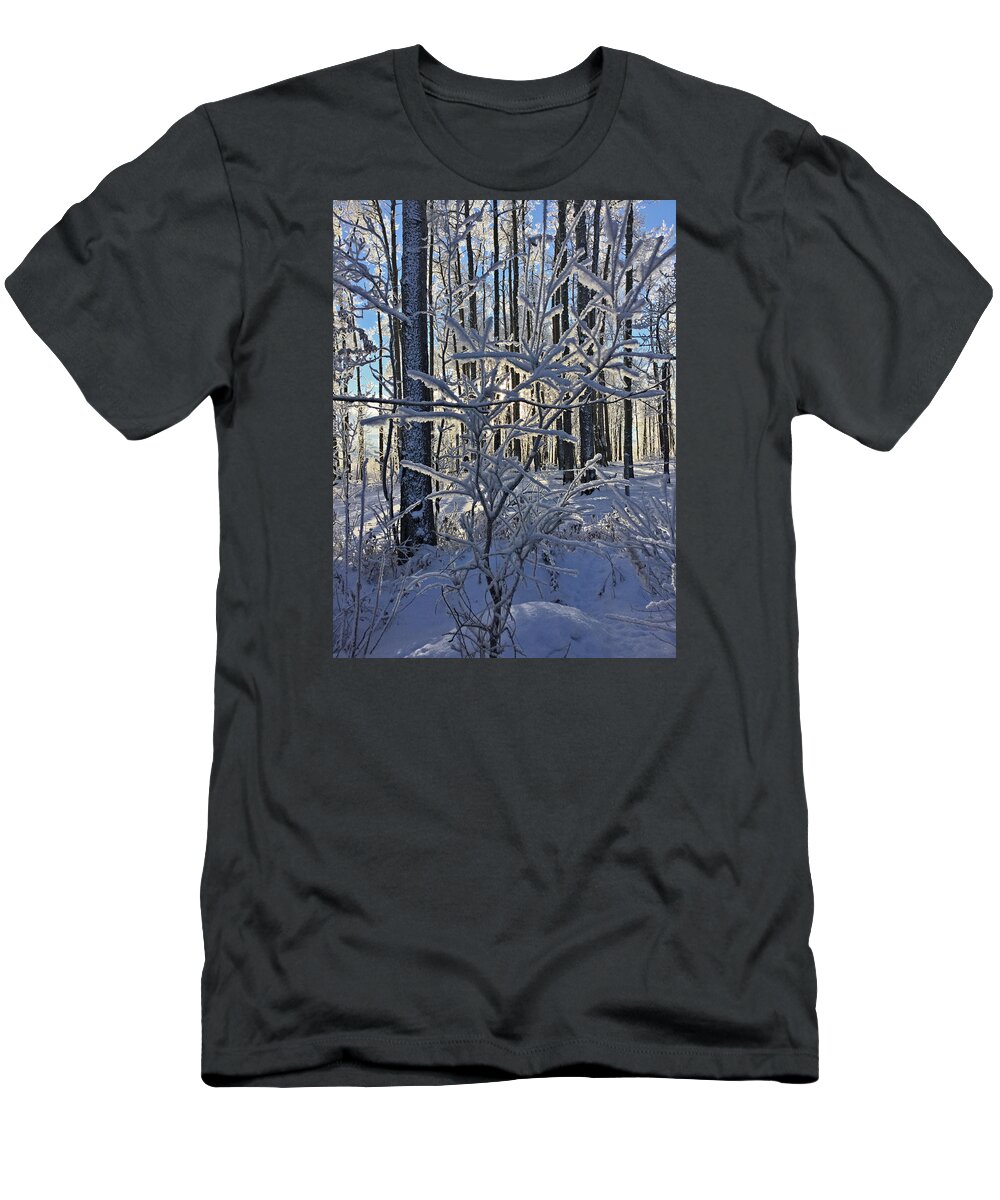 Frosty Trees T-Shirt featuring the photograph Frosty Branches by Sandra Foster