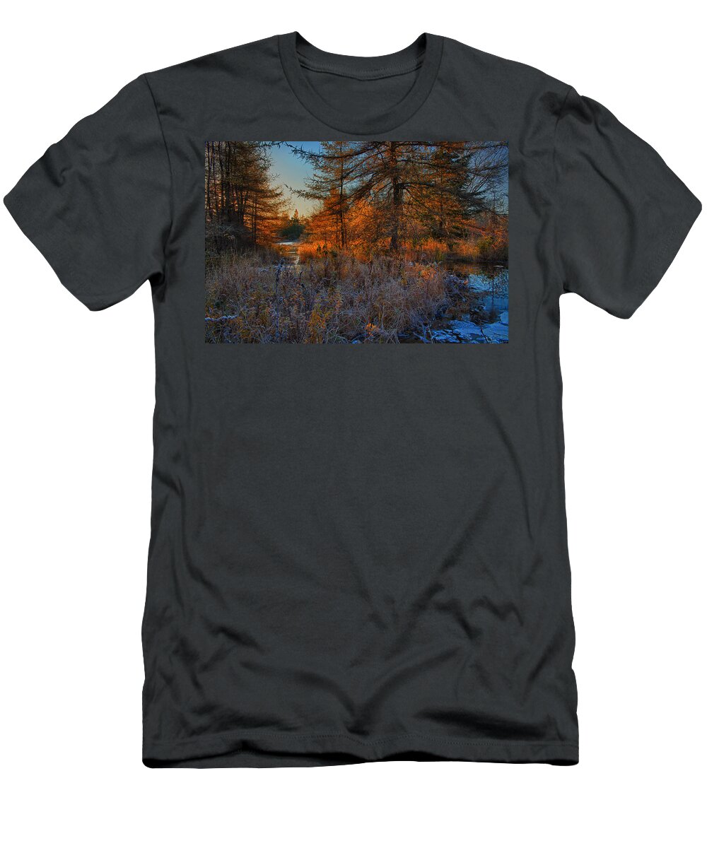 Buctagen Barrens T-Shirt featuring the photograph Frosty Morning Sunrise Along Bearden Brook by Irwin Barrett