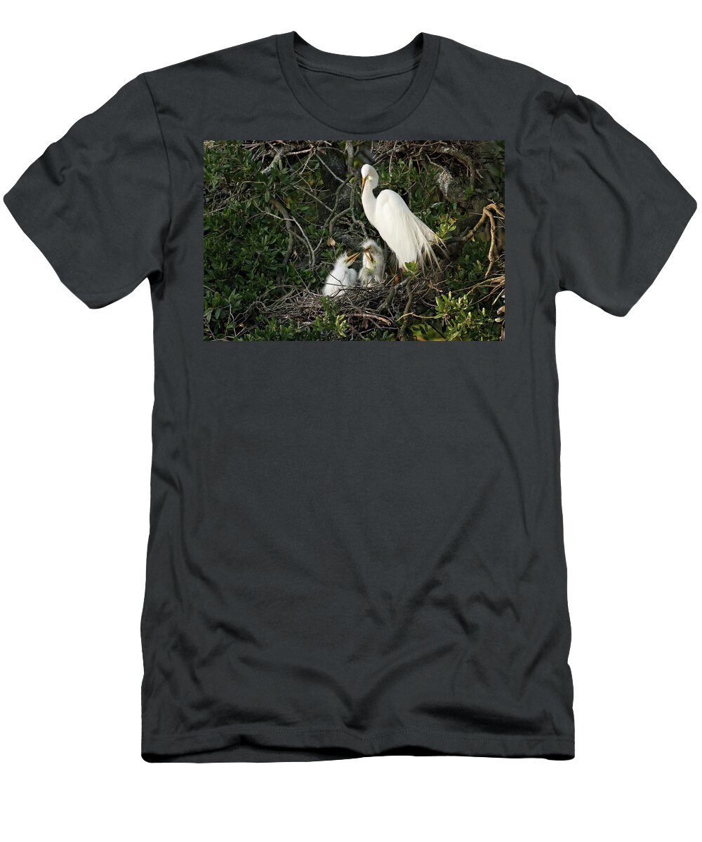 Egrets T-Shirt featuring the photograph Full House by Eilish Palmer