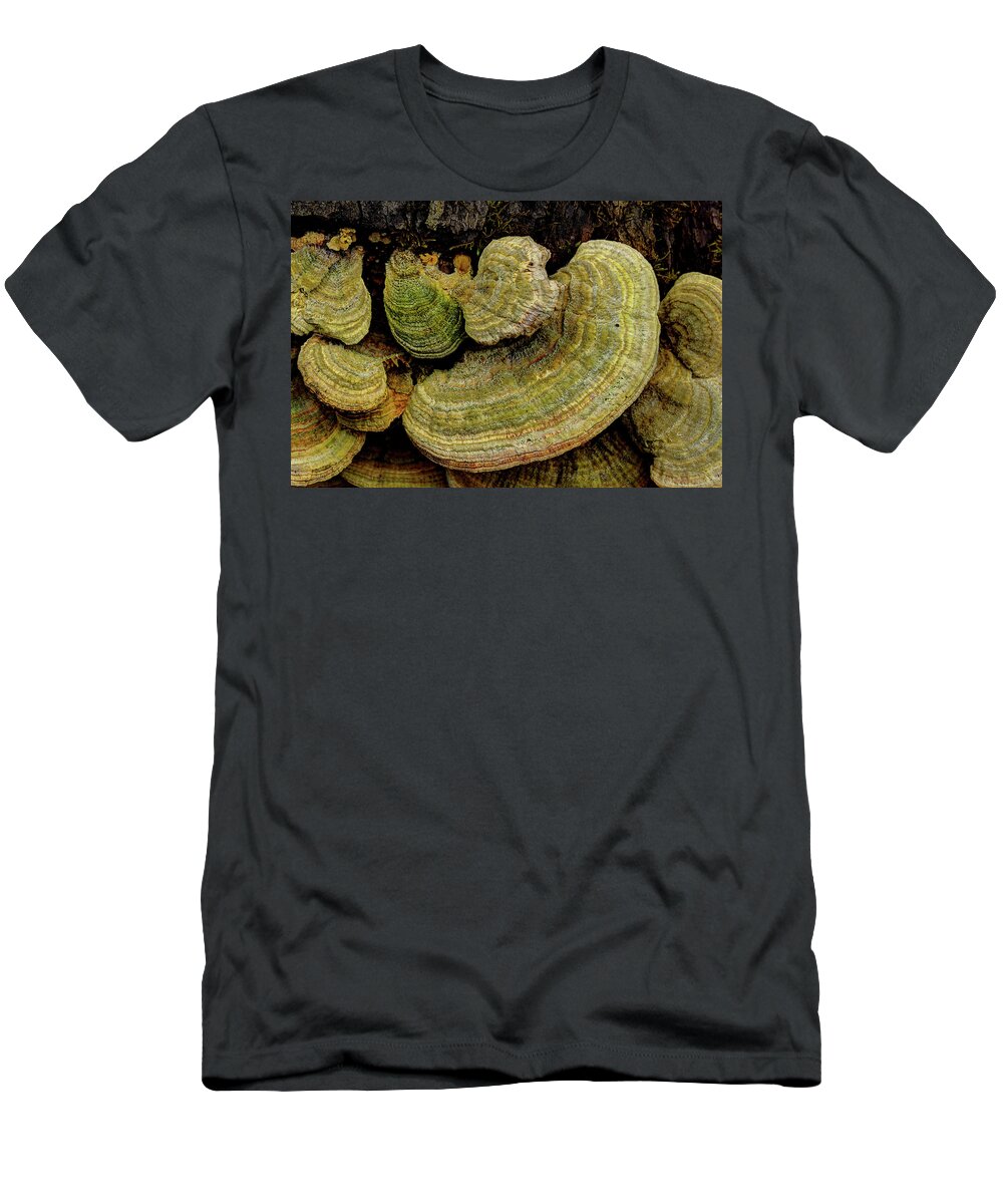 Fungus T-Shirt featuring the photograph Fungus On The Log by Mike Eingle