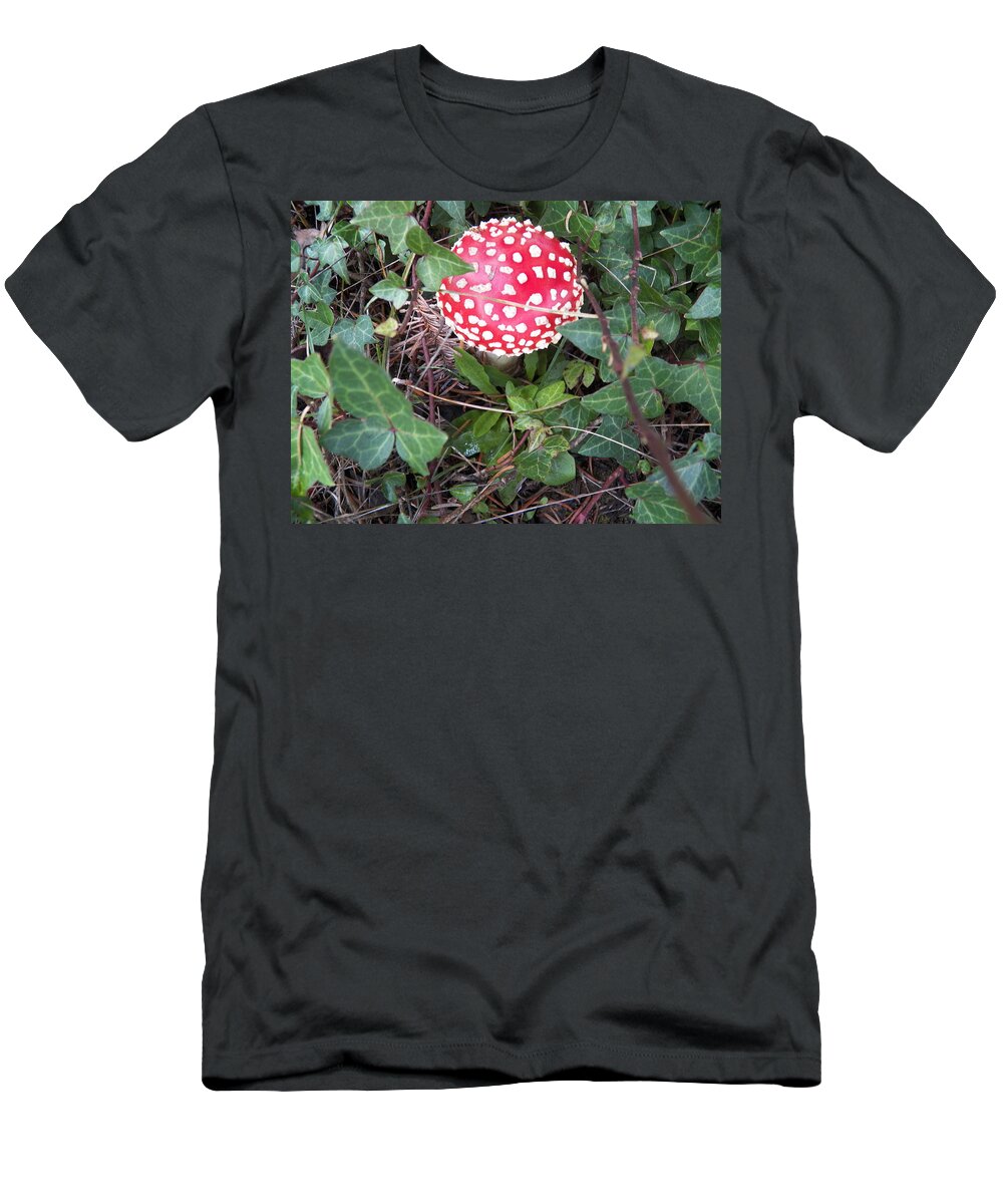 Mushroom T-Shirt featuring the photograph Fungus Poisonous by Laurie Kidd