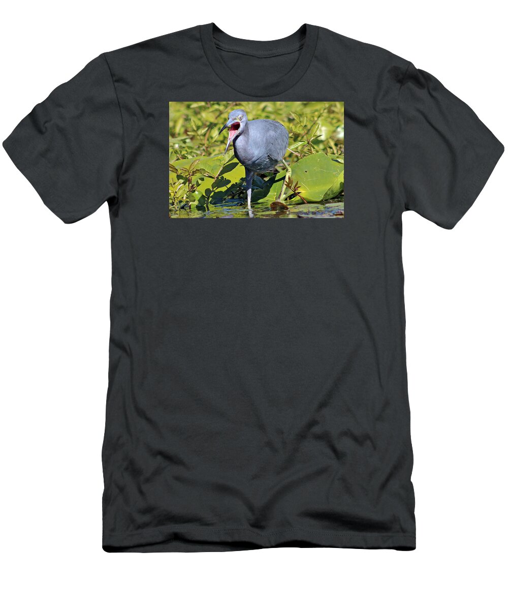 Bird T-Shirt featuring the photograph Fussy Little Blue Heron by DB Hayes