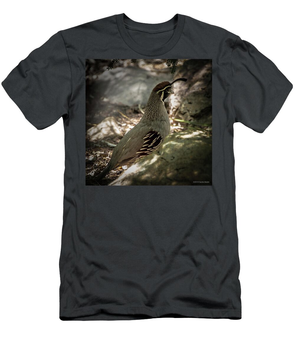 Avian T-Shirt featuring the photograph Gambels Quail by Sandra Nesbit