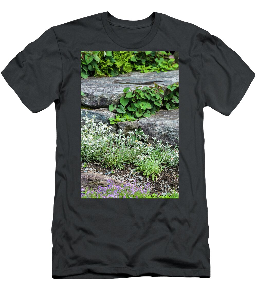 Garden T-Shirt featuring the photograph Garden Grays by Ginger Stein
