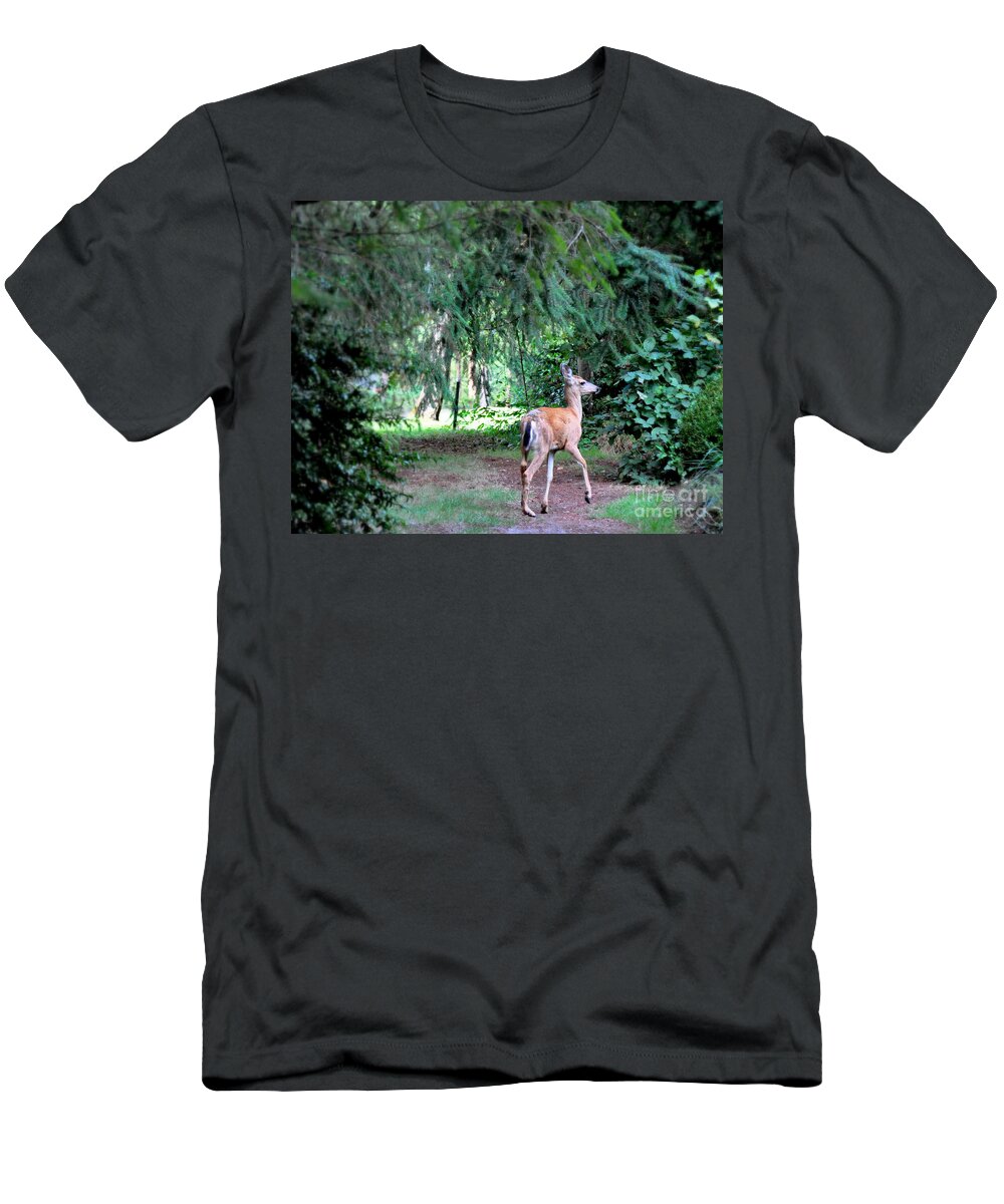 Deer T-Shirt featuring the photograph Garden Guest by Tatyana Searcy