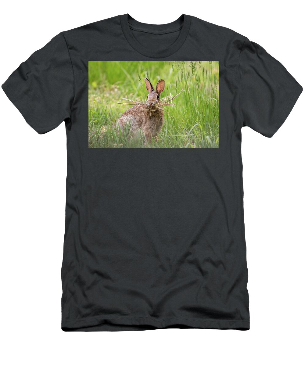 Terry D Photography T-Shirt featuring the photograph Gathering Rabbit by Terry DeLuco