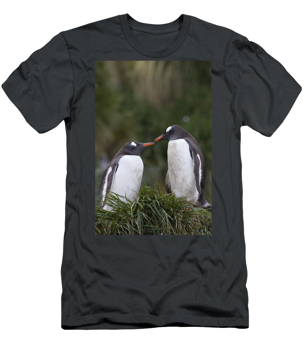 00761863 T-Shirt featuring the photograph Gentoo Penguins Nesting In Gold Harbor by Suzi Eszterhas