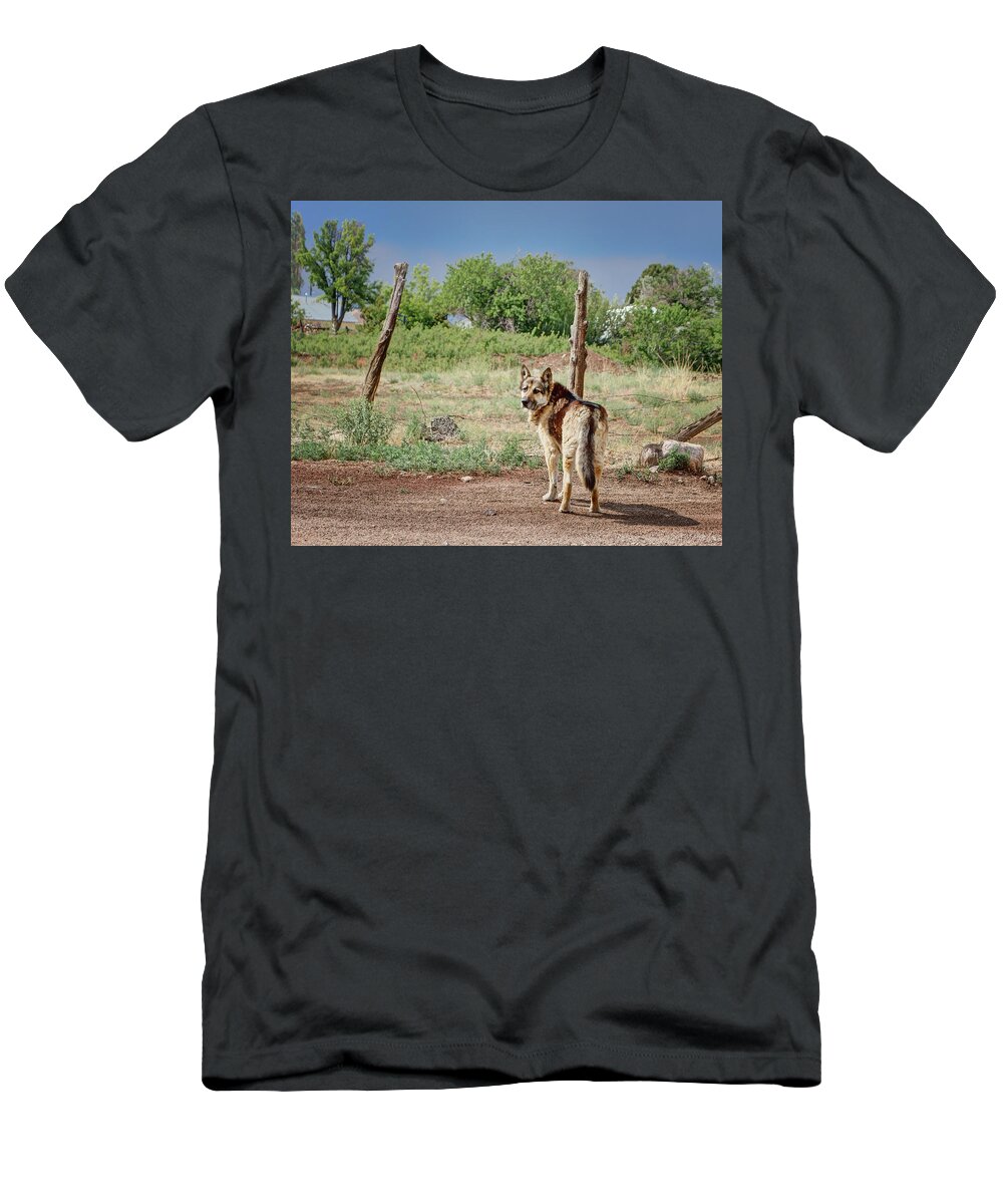 Dog T-Shirt featuring the photograph German Shepherd by Nikolyn McDonald