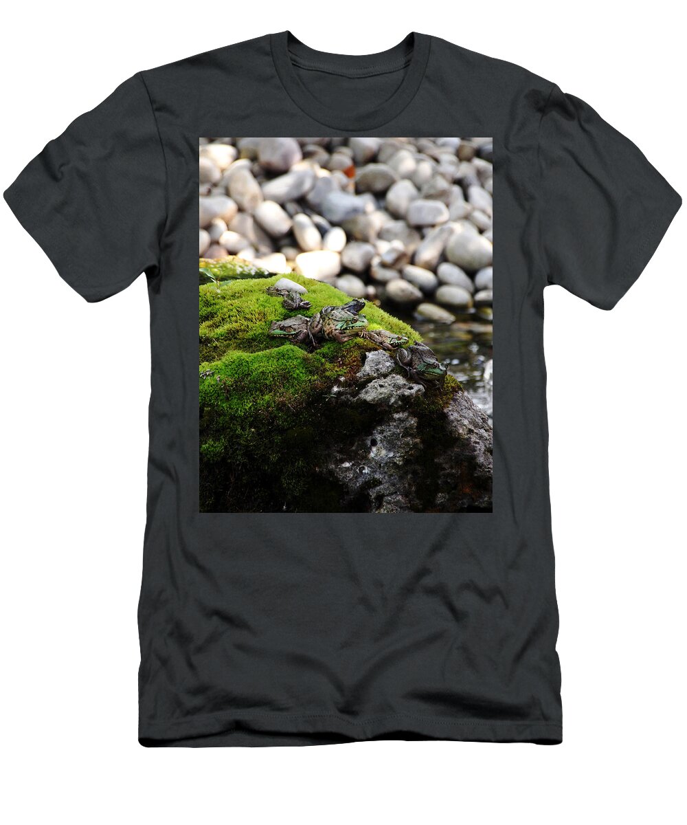 Amphibians T-Shirt featuring the photograph Get In Line by Debbie Oppermann