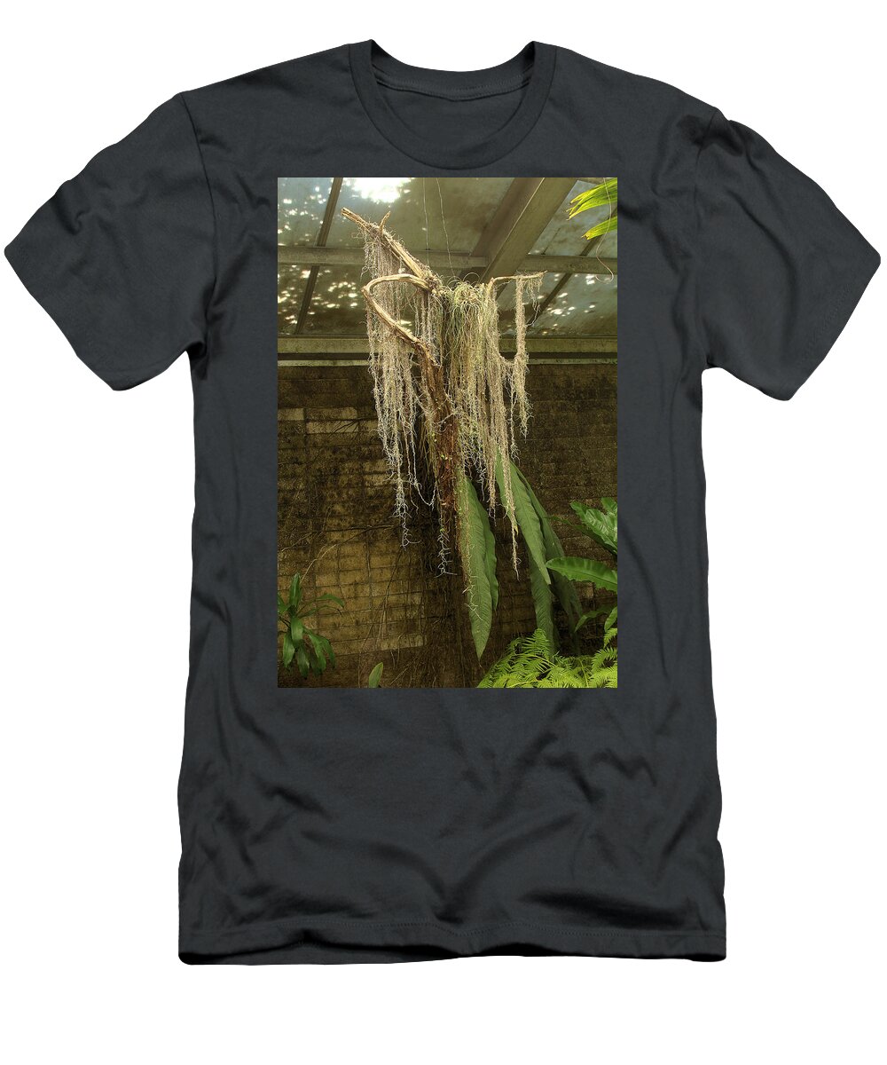 Ghost Of Spanish Moss T-Shirt featuring the photograph Ghost Of Spanish Moss by Viktor Savchenko