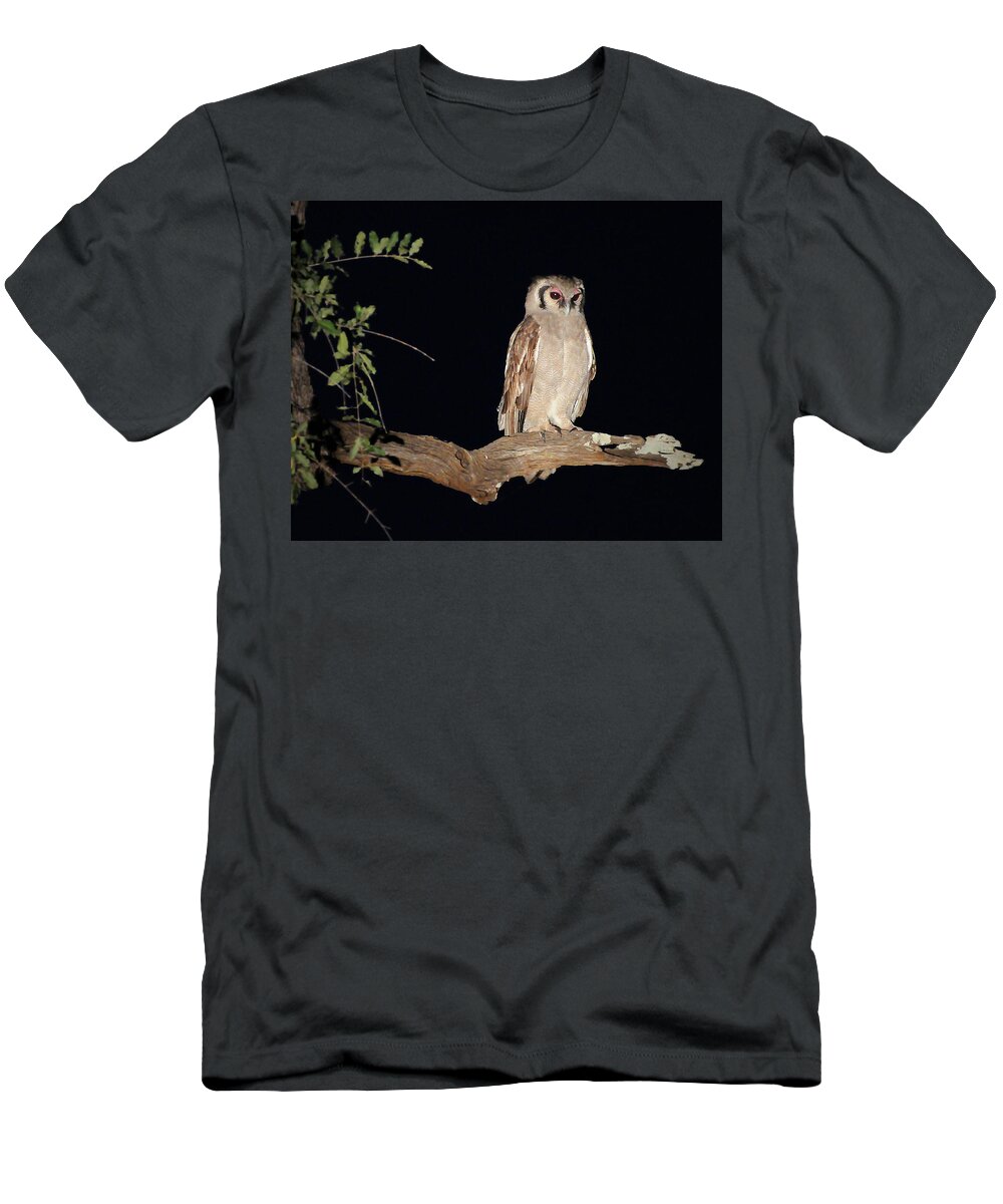 Giant T-Shirt featuring the photograph Giant Eagle Owl by Ted Keller