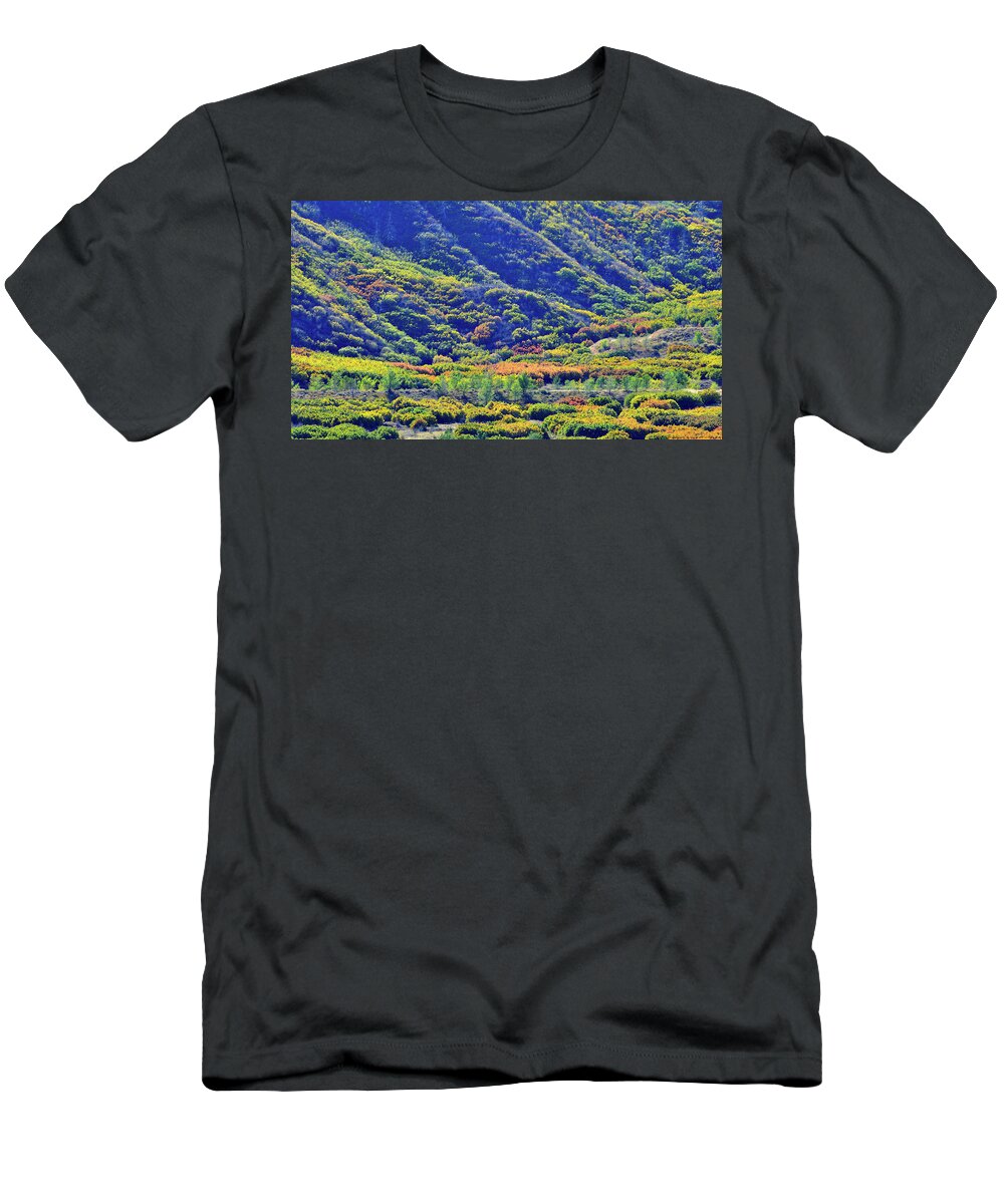 Colorado T-Shirt featuring the photograph Glenwood Springs Fall Colors on Display by Ray Mathis