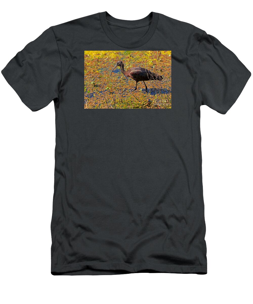 Glossy Ibis T-Shirt featuring the photograph Glossy Ibis by Louise Heusinkveld