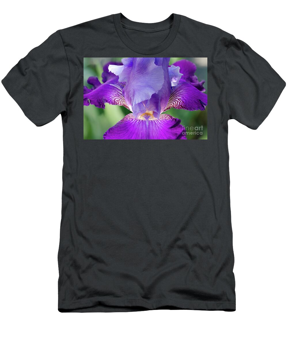 Flowers T-Shirt featuring the photograph Glowing Iris Floral / Botanical / Nature Photograph by PIPA Fine Art - Simply Solid
