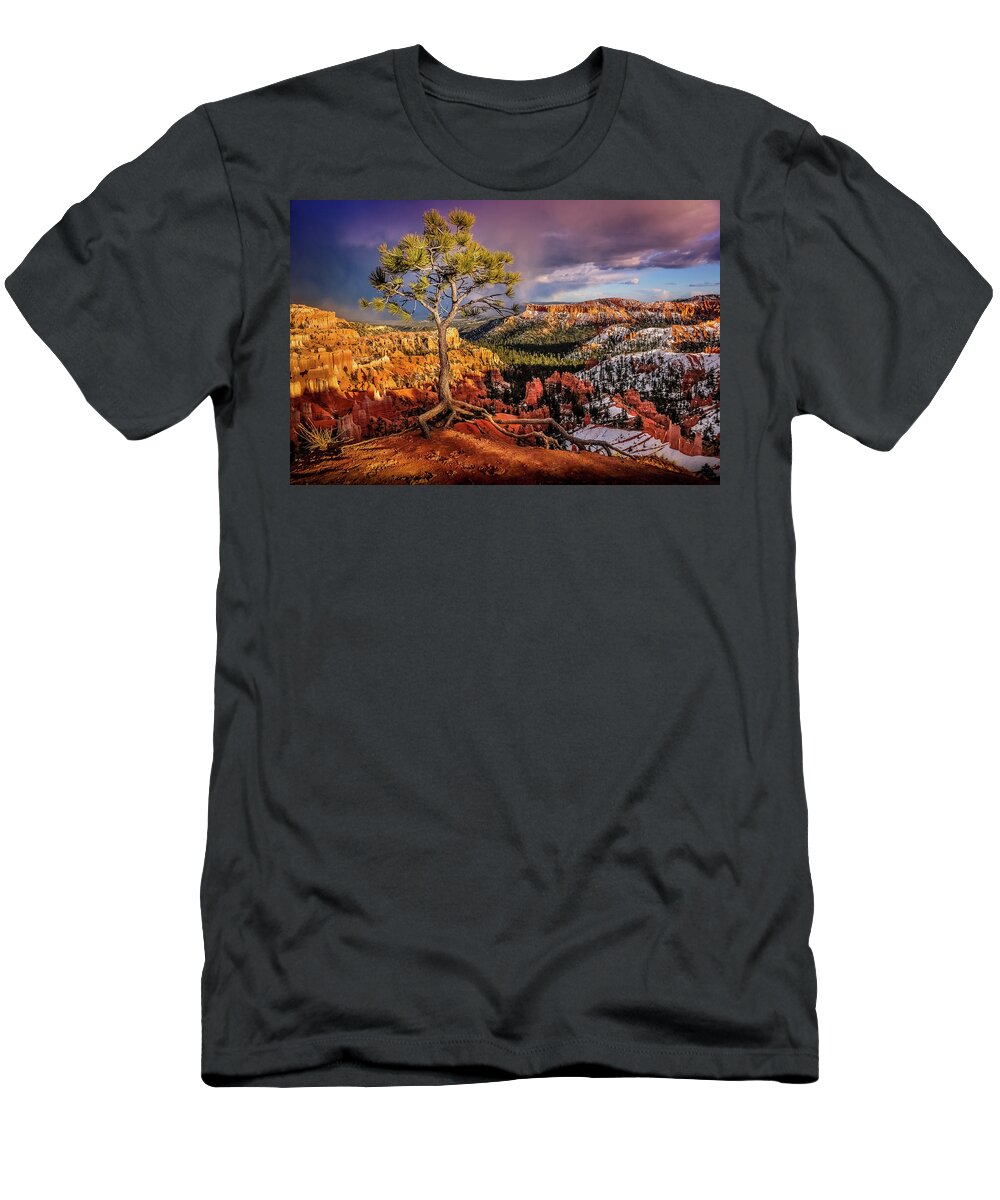 Bryce Canyon T-Shirt featuring the photograph Gnarled Tree at Bryce Canyon by Dave Koch