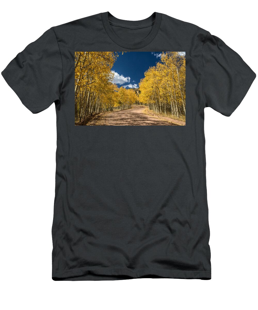 Colorado T-Shirt featuring the photograph Gold Camp Road by Dawn Key