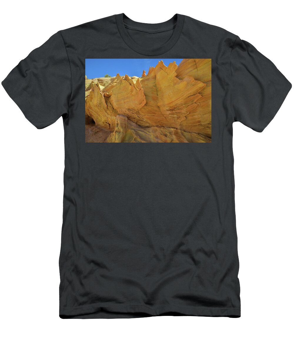 Valley Of Fire State Park T-Shirt featuring the photograph Gold Walls and Fins in Wash 3 of Valley of Fire by Ray Mathis