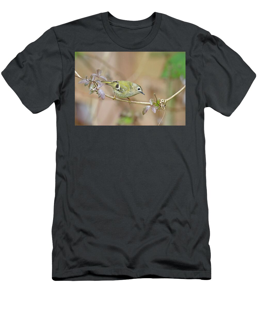 Goldcrest T-Shirt featuring the photograph Goldcrest by Pete Walkden