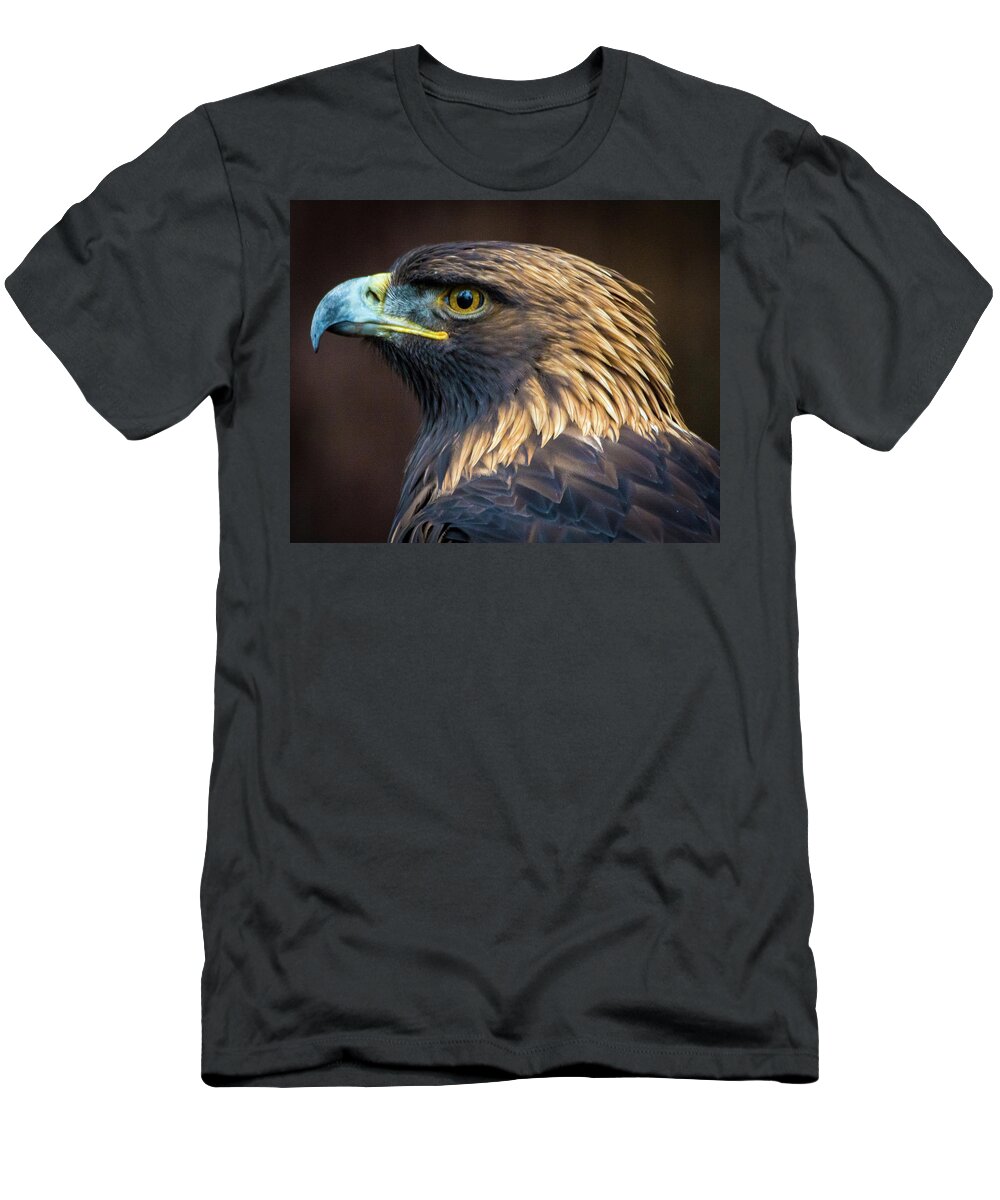 Eagles T-Shirt featuring the photograph Golden Eagle 2 by Jason Brooks
