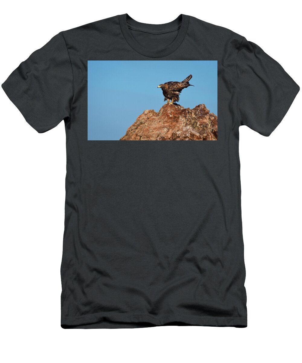 Raptor T-Shirt featuring the photograph Golden Eagle 3 by Rick Mosher