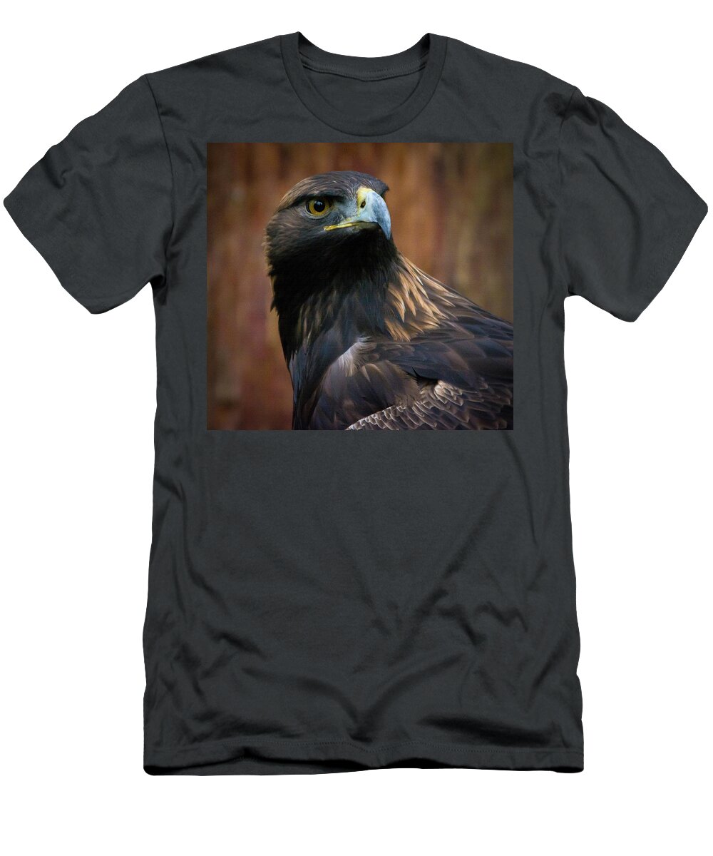 Eagle T-Shirt featuring the photograph Golden Eagle 4 by Jason Brooks