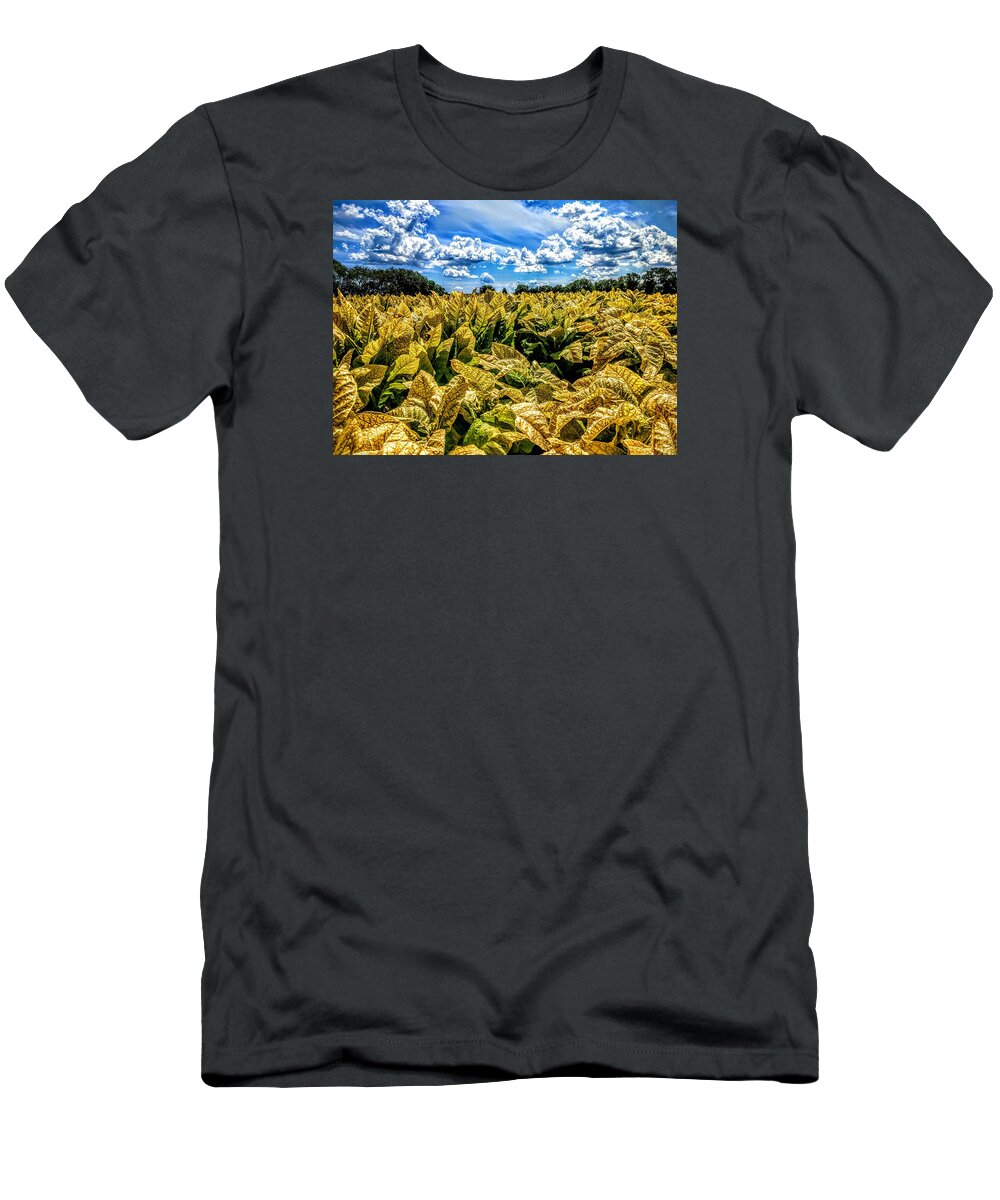 Farm Fields T-Shirt featuring the photograph Golden Field by Paul Kercher
