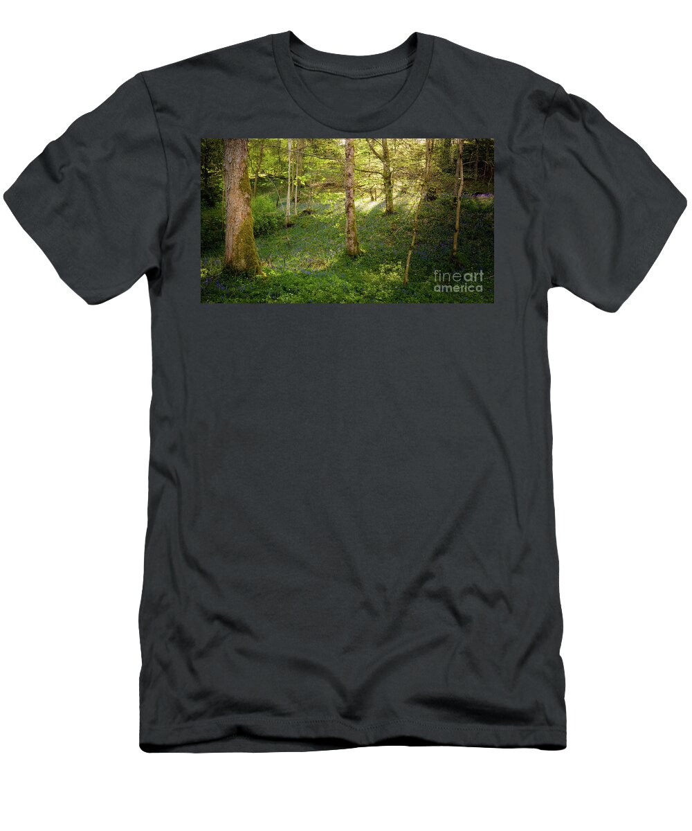 Bolton Abbey T-Shirt featuring the photograph Golden hour in the woods by Mariusz Talarek