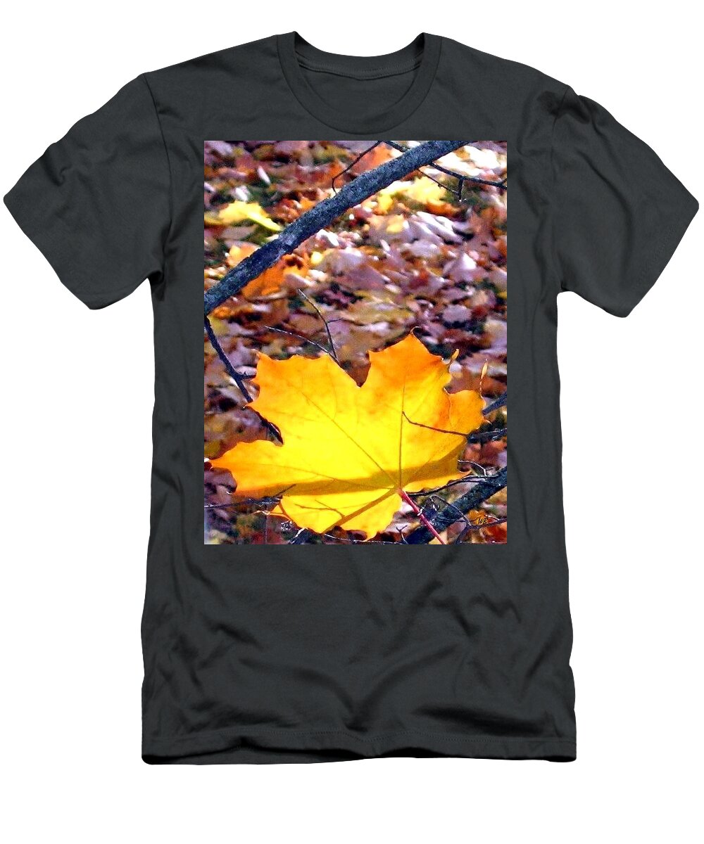 Maple Leaf T-Shirt featuring the photograph Golden Leaf by Will Borden