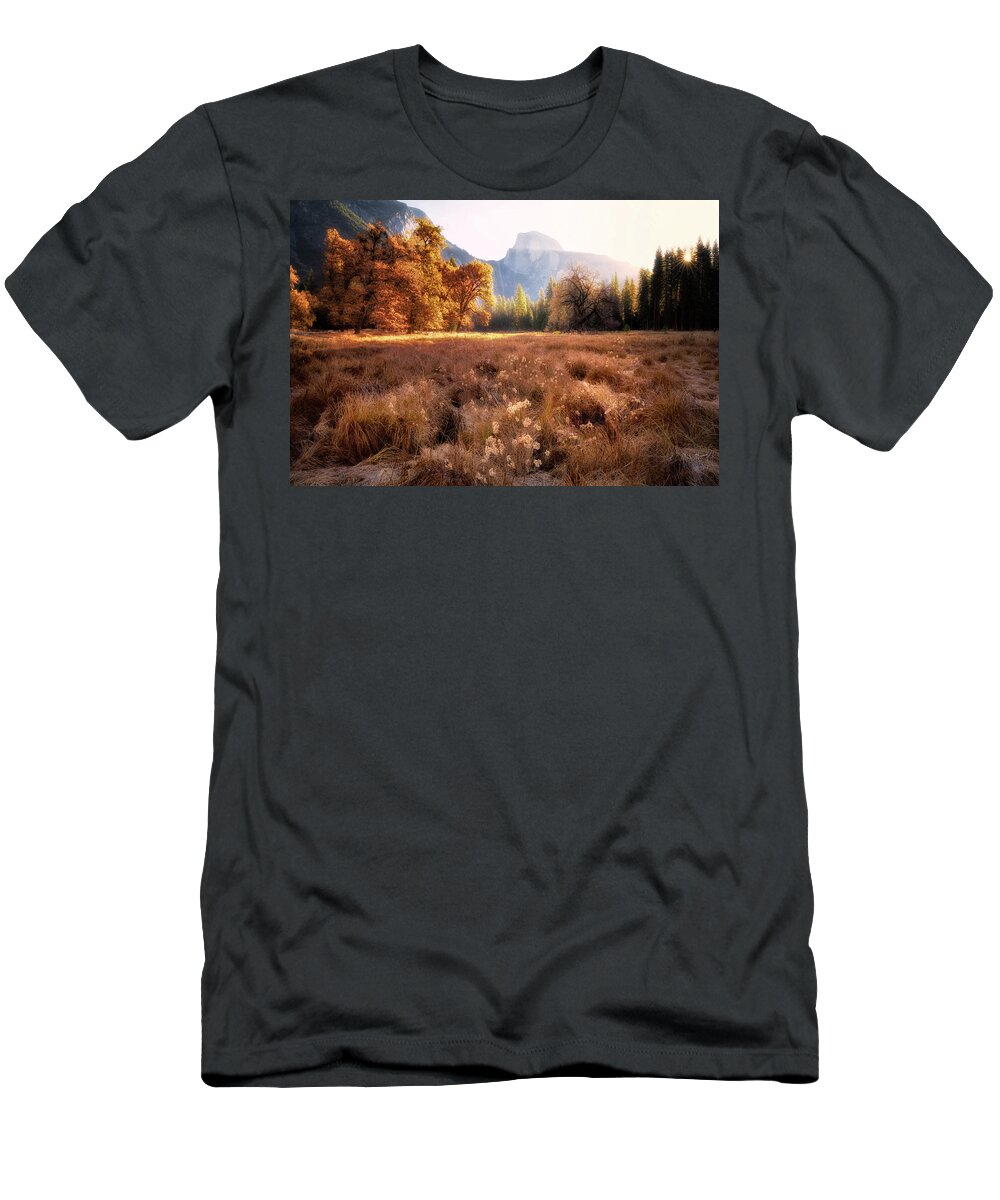Sunrise T-Shirt featuring the photograph Golden Oaks by Nicki Frates