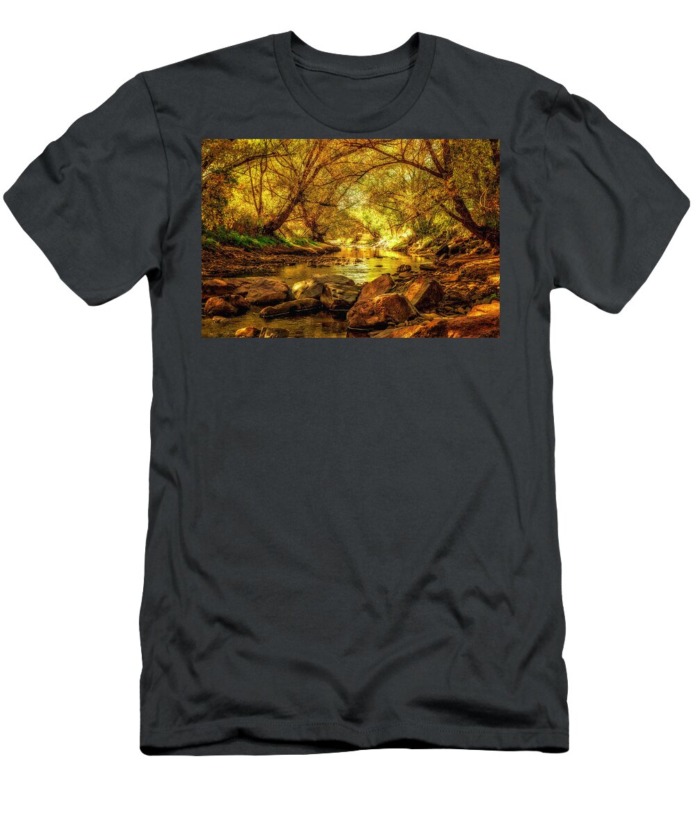 Fall Color T-Shirt featuring the photograph Golden Stream by Kristal Kraft