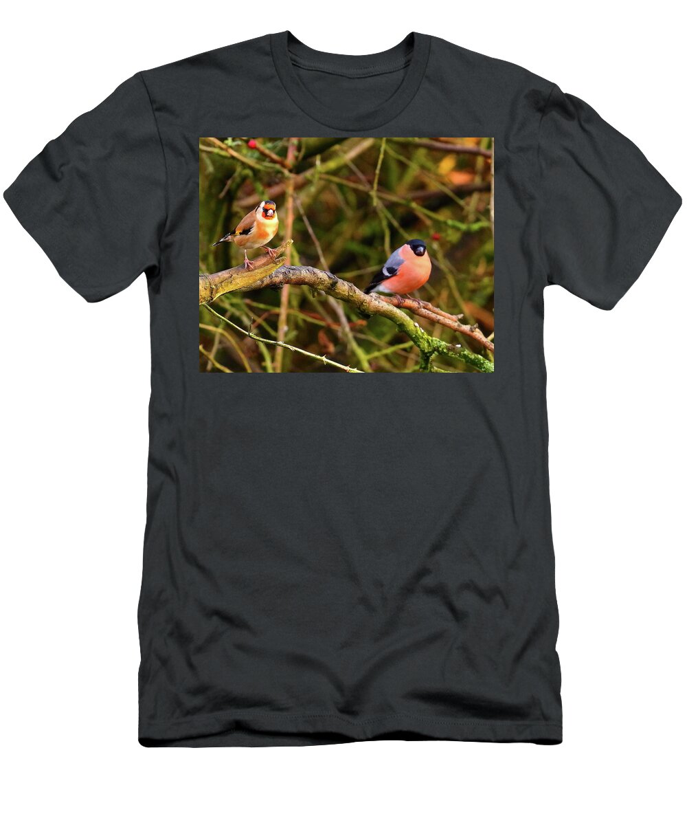 Finch T-Shirt featuring the photograph Goldfinch and Bullfinch by Jeff Townsend