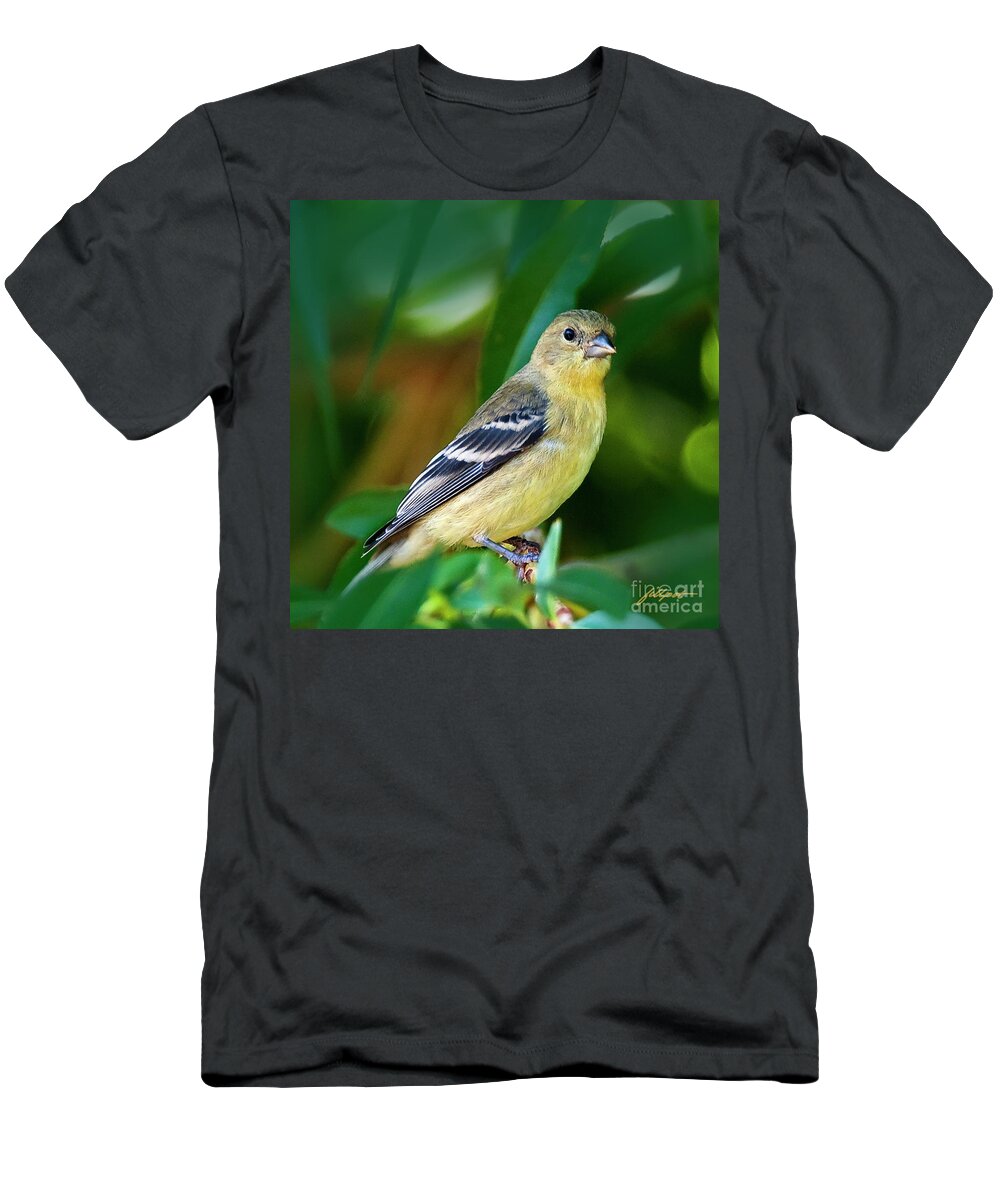 Goldfinch T-Shirt featuring the photograph Goldfinch by Bon and Jim Fillpot