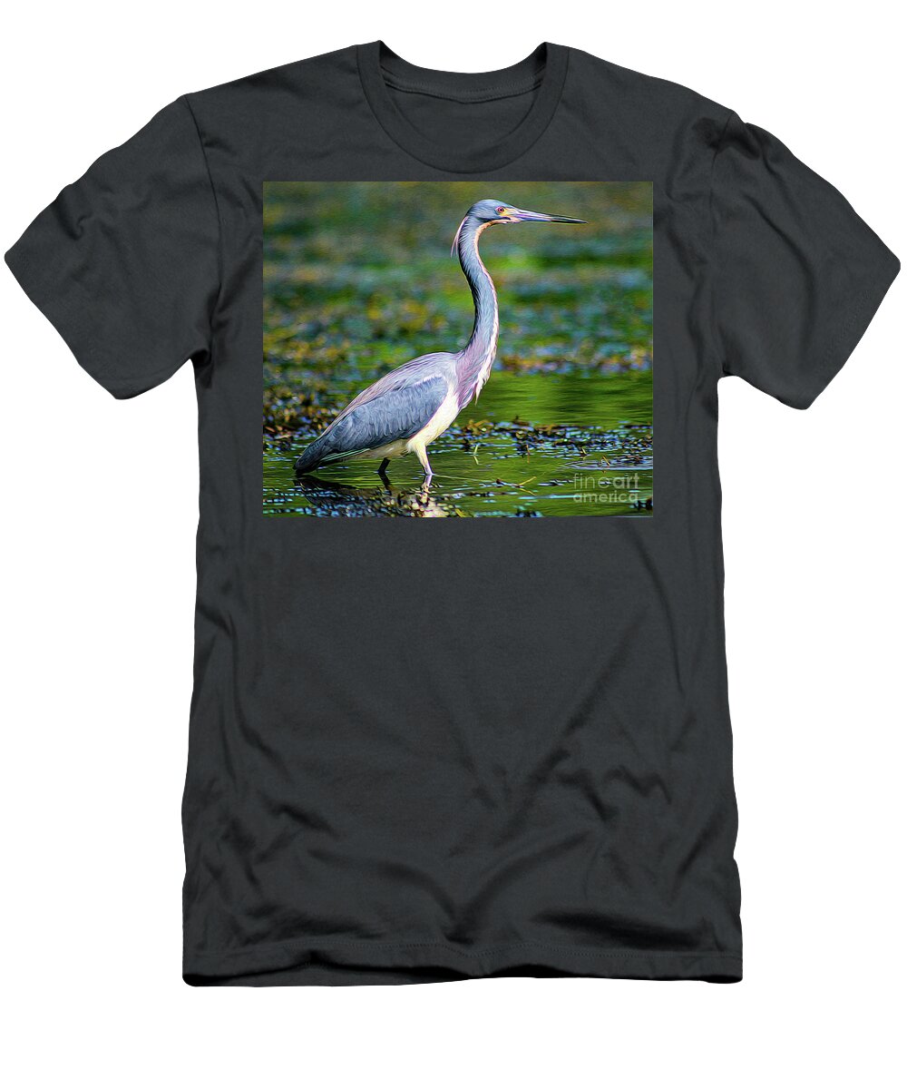 Nature T-Shirt featuring the painting Gorgeous Tricoloured Heron  by DB Hayes