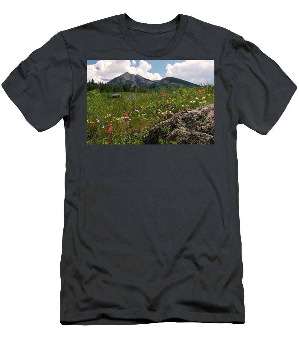 Colorado T-Shirt featuring the photograph Gothic Summer by Julia McHugh