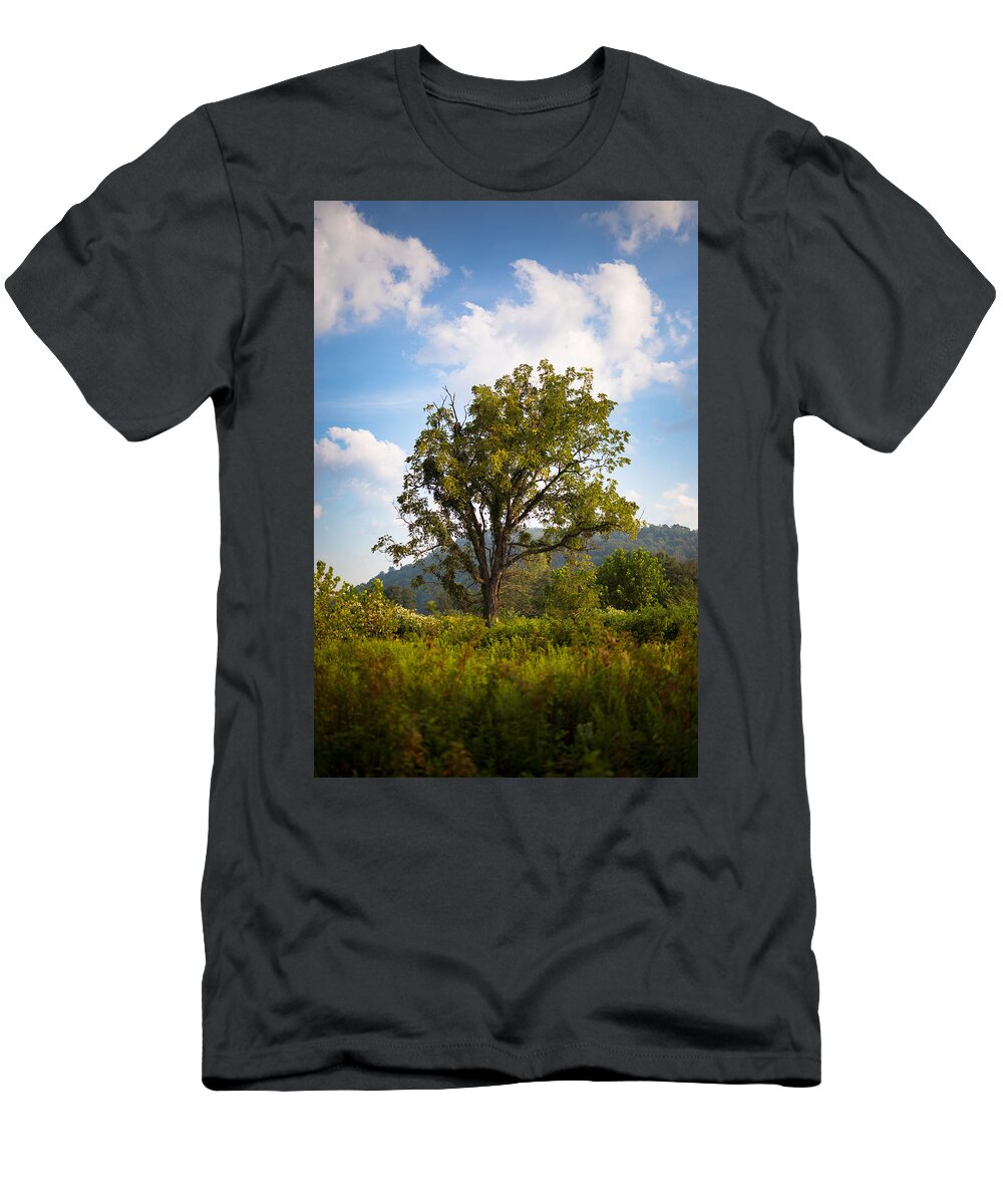 Tree T-Shirt featuring the photograph Grand Tree by Shane Holsclaw