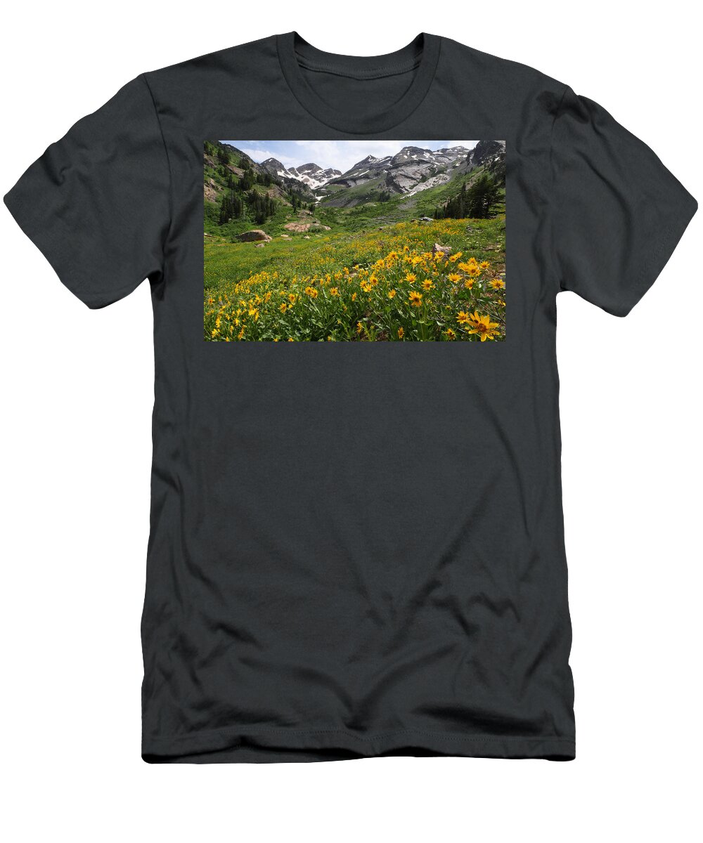 Landscape T-Shirt featuring the photograph Grandmothers Meadow - Broads Fork by Brett Pelletier
