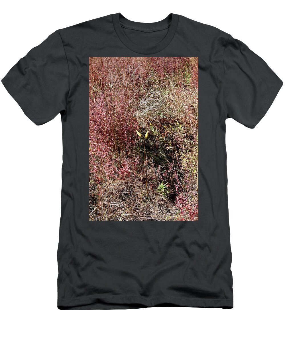  T-Shirt featuring the photograph Grasses In Fall by Mark Alesse