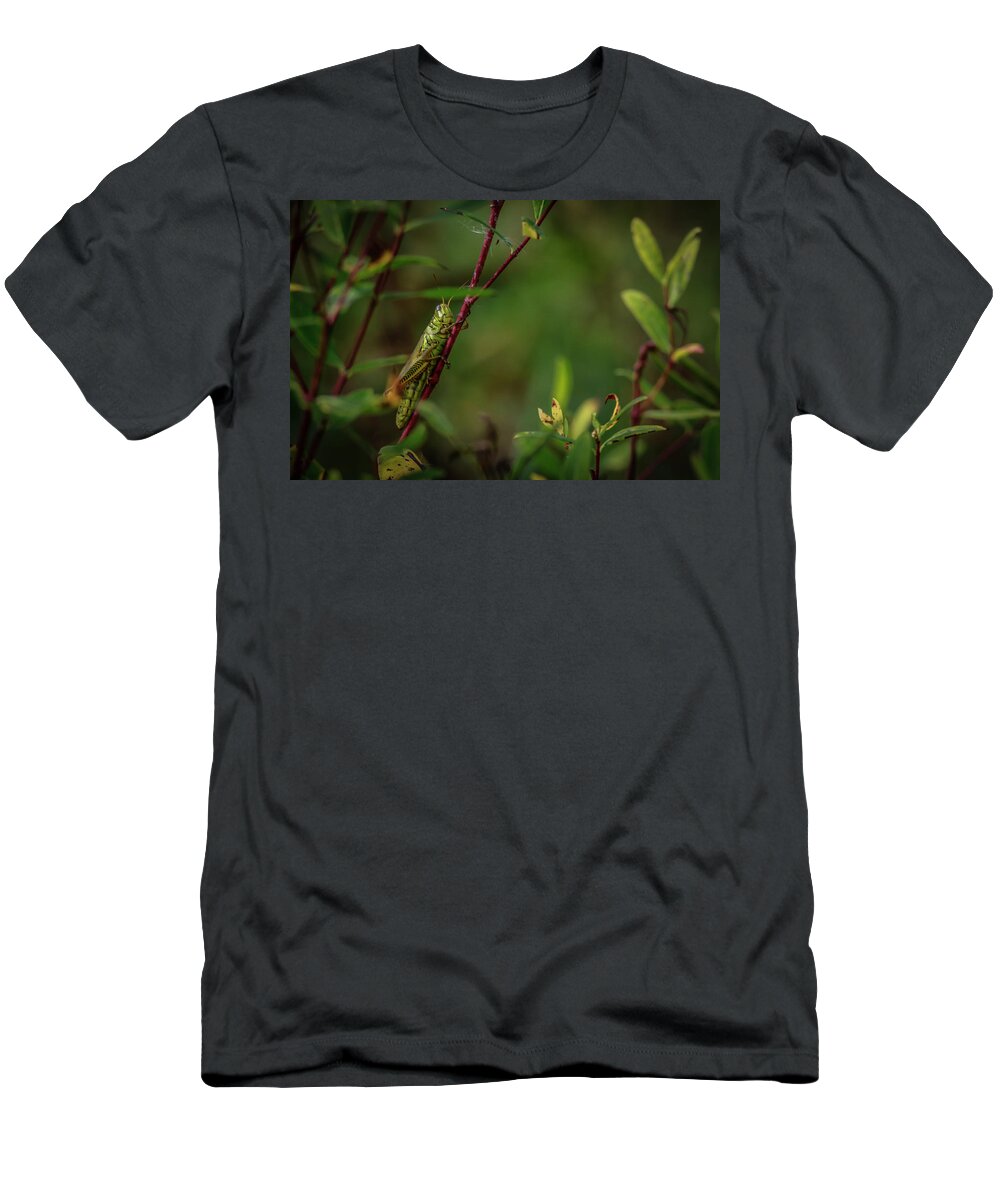 Grasshopper T-Shirt featuring the photograph Grasshopper Holding On by Ray Congrove