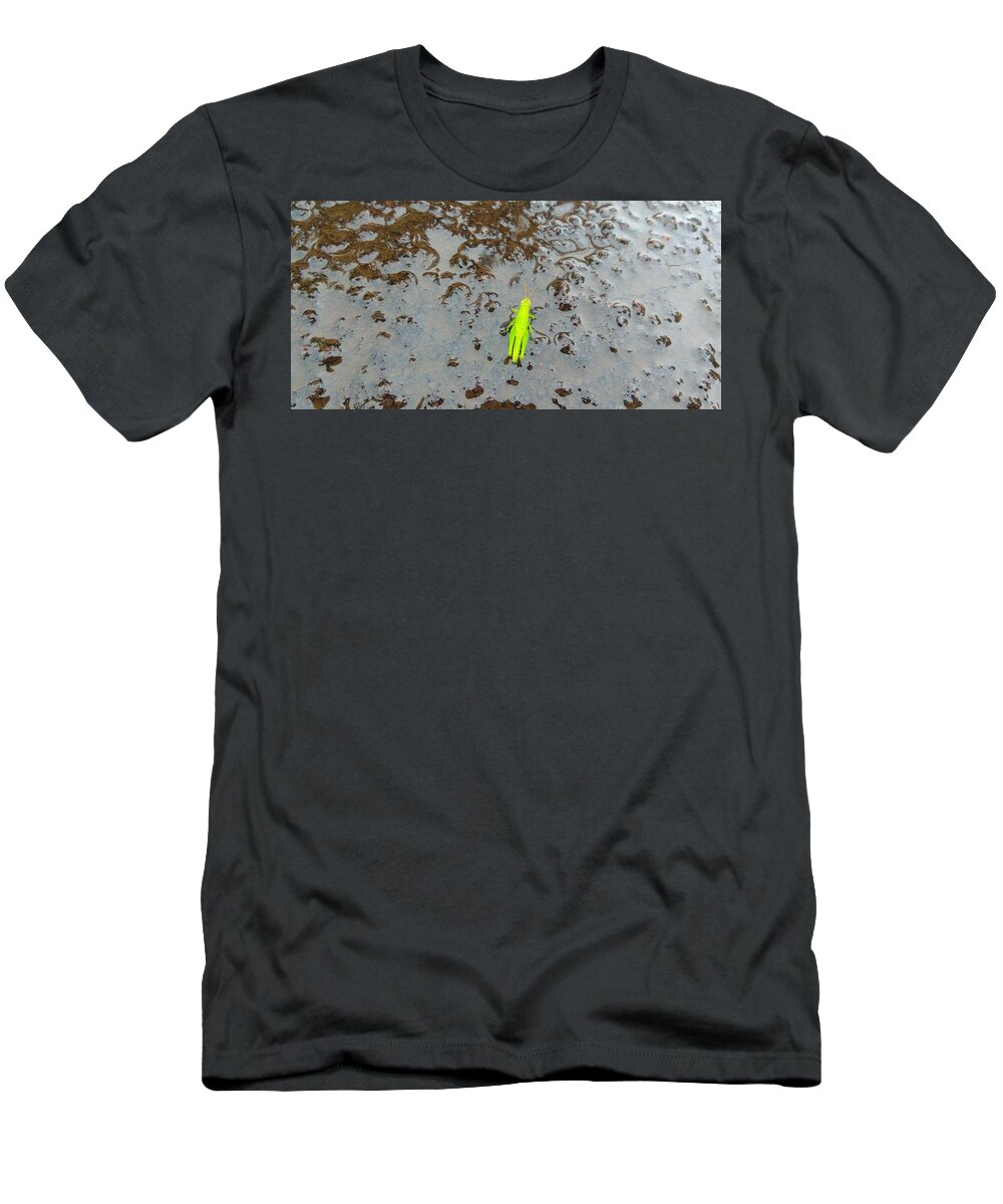 Grasshopper T-Shirt featuring the photograph Grasshopper by Mariel Mcmeeking