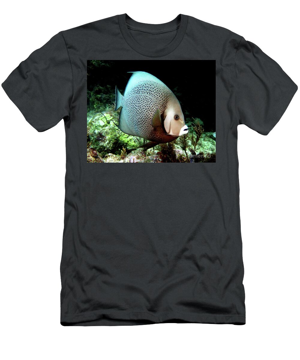 Underwater T-Shirt featuring the photograph Gray on Black by Daryl Duda