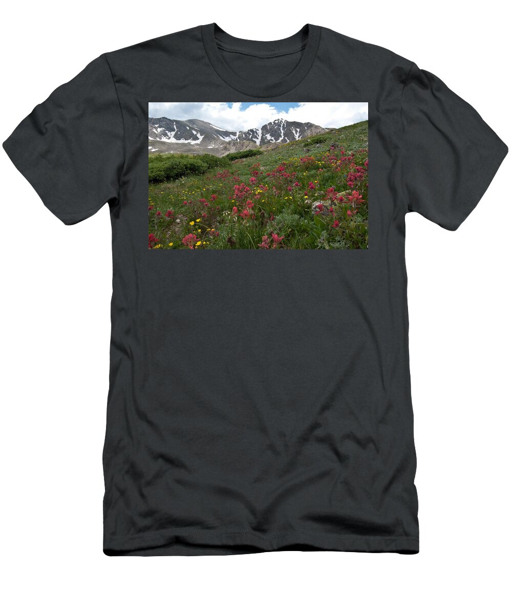 Gray's Peak T-Shirt featuring the photograph Gray's and Torreys by Cascade Colors