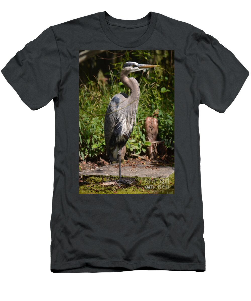 Great Blue Heron 16-02 T-Shirt featuring the photograph Great Blue Heron 16-02 by Maria Urso