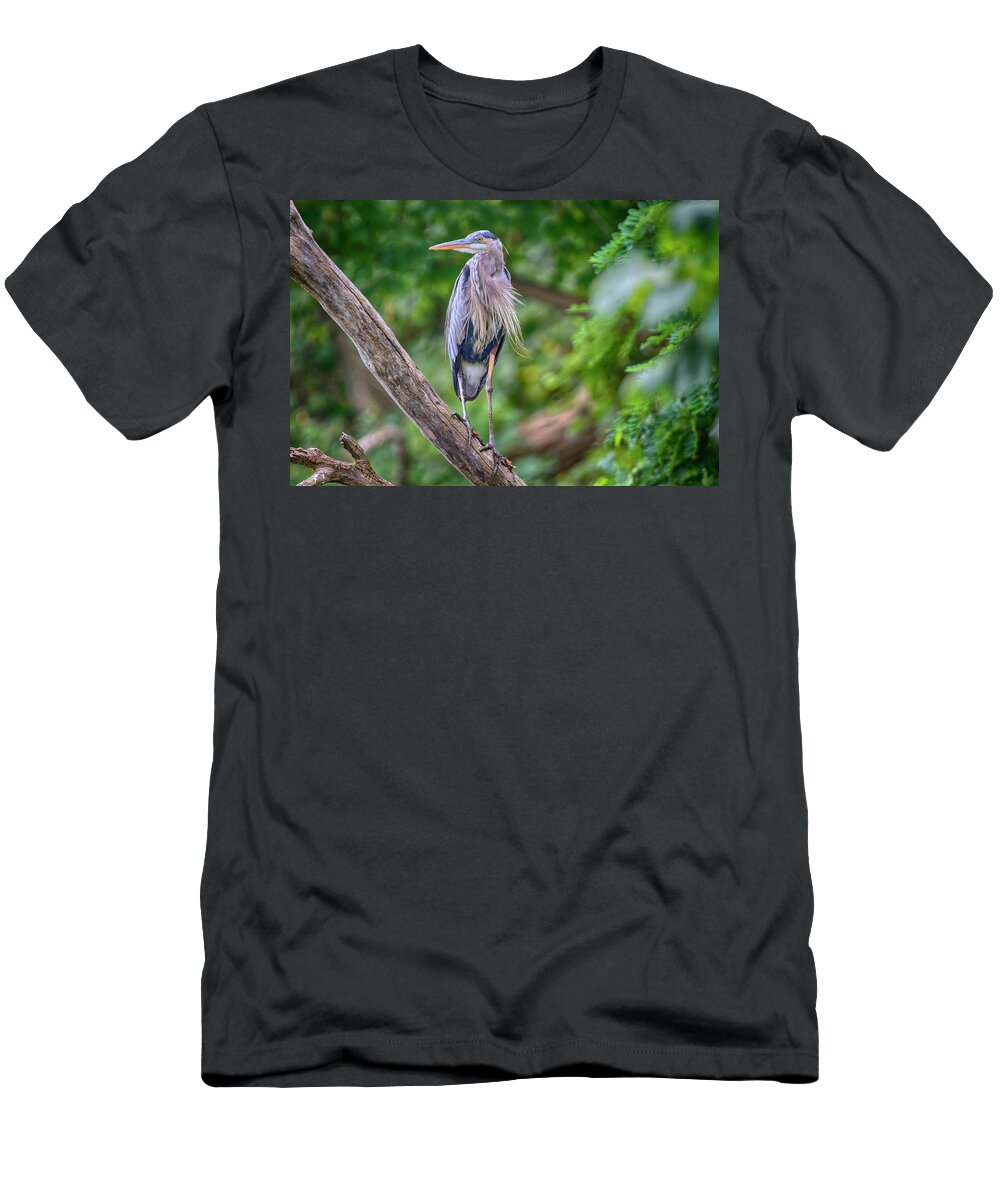 Port Dover T-Shirt featuring the photograph Great Blue Heron 2 by Gary Hall