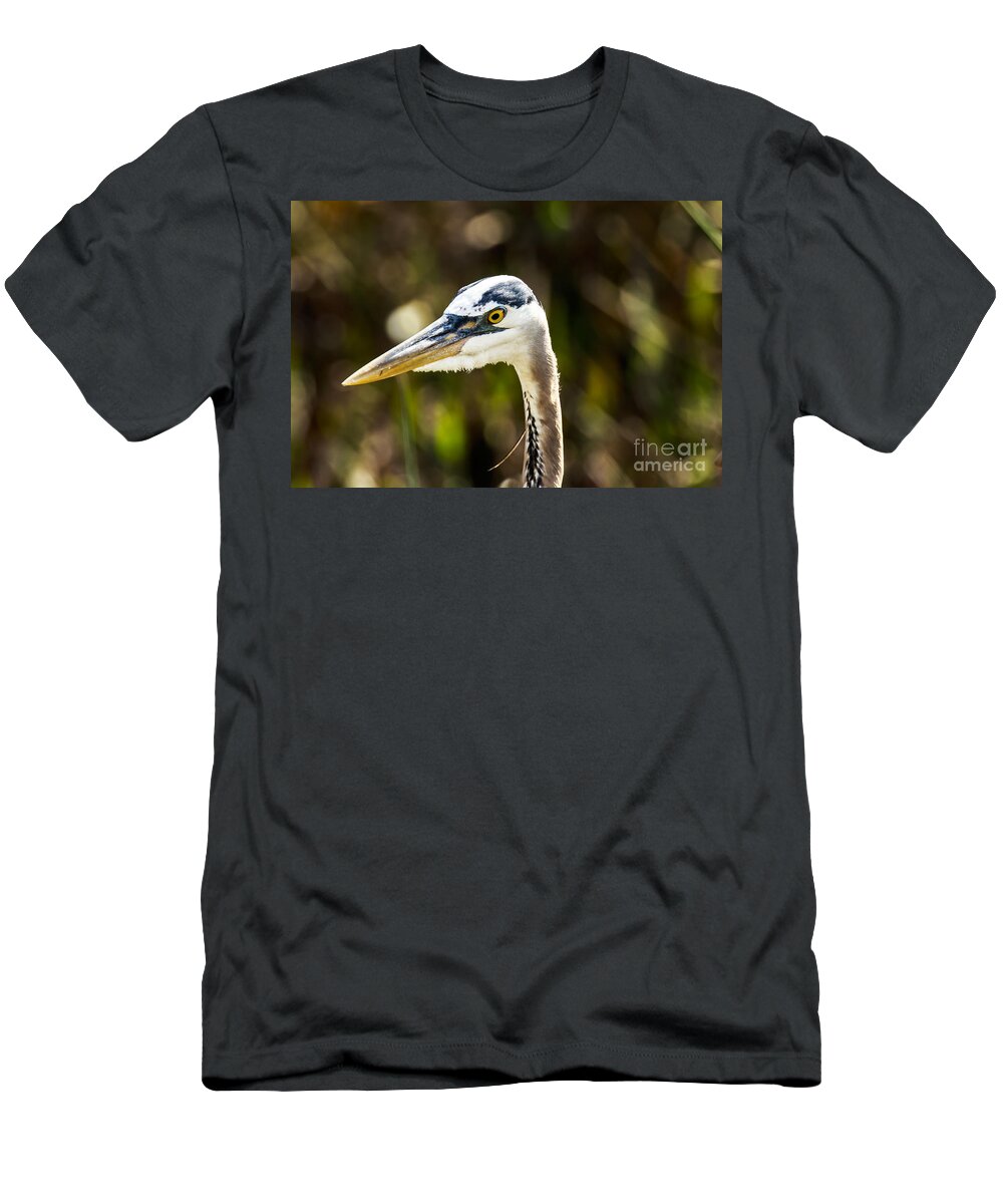 Great Blue Heron T-Shirt featuring the photograph Great Blue Heron at Green Cay by Ben Graham