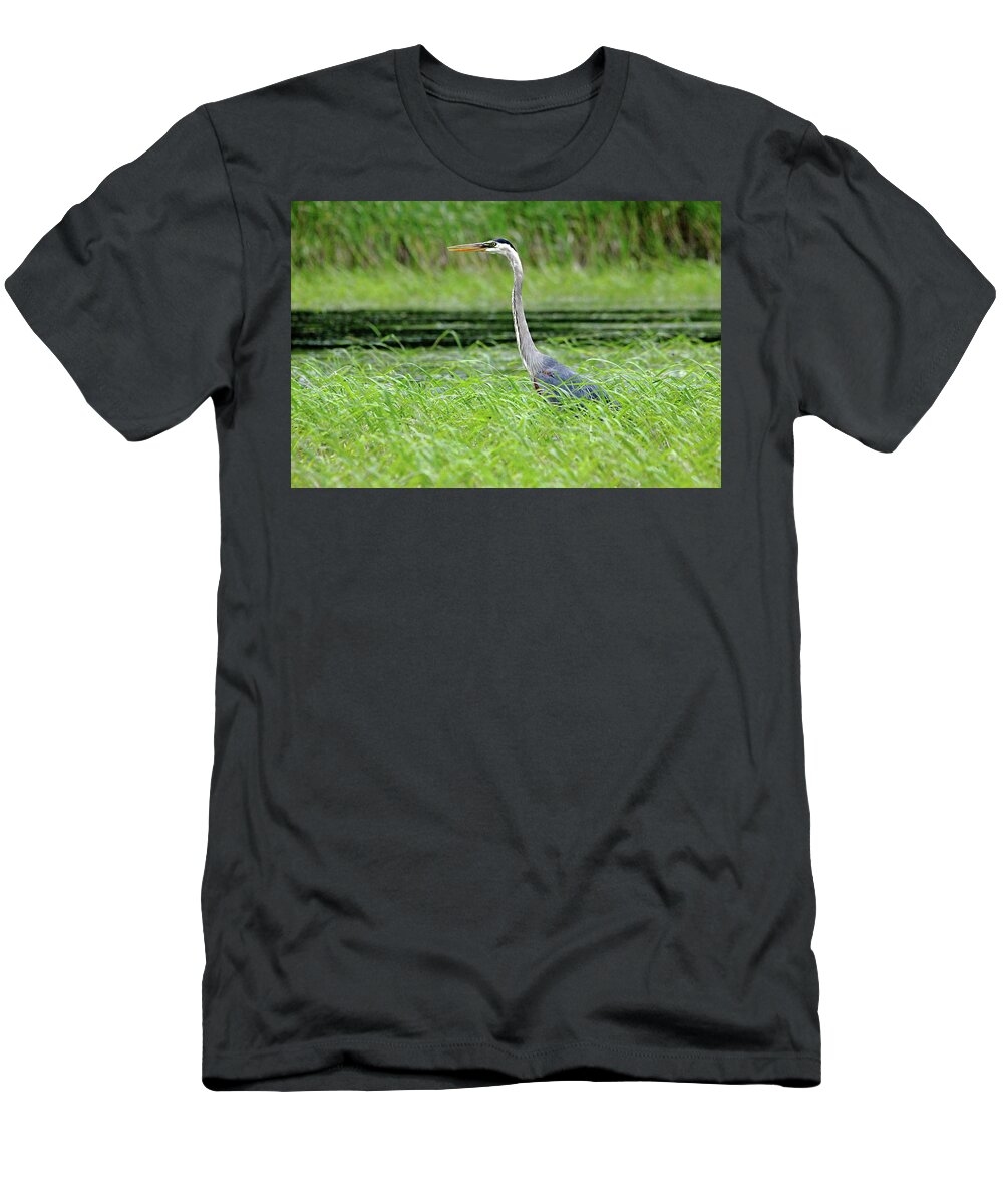 Heron T-Shirt featuring the photograph Great Blue Heron by Debbie Oppermann