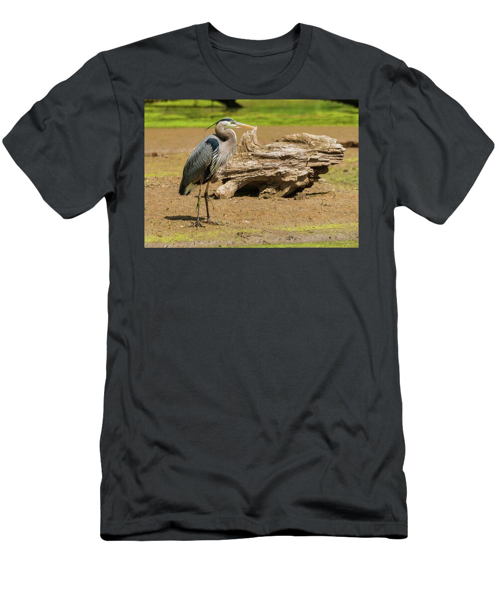 Great Blue Heron T-Shirt featuring the photograph Great Blue Heron Posing by Ed Peterson